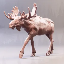 Moose (Forest animal)