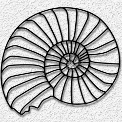 Nautilus Seashell Wall Art Nautical Wall Decor