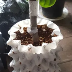 root trainer pot: air pruning