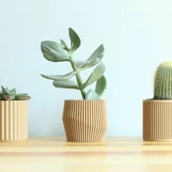 SET OF 4 MINIMAL PLANT POTS FOR SUCCULENTS AND CACTI READY TO BE PRINTED ON WOOD PLA
