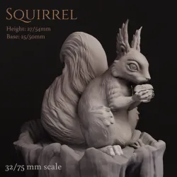 Squirrel