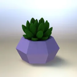 Succulent Planter