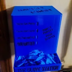 The Glove Station