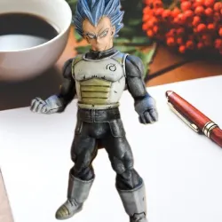 Vegeta Whis armor