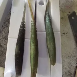 3D finess mold