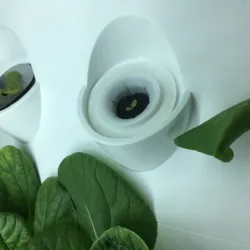 Aerogarden to 2" Net Cup converter lid (iHarvest)