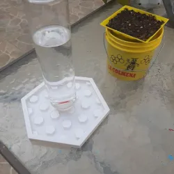 Bee water feeder and birds exa