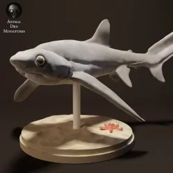 Big Eye Thresher Shark