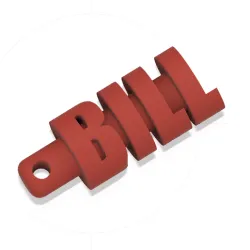 BILL KEYCHAIN