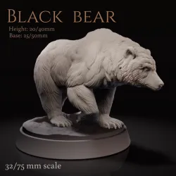 Black bear