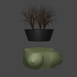 Boobs Pot