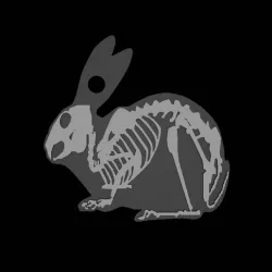Bunny Skeleton Keychain