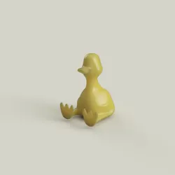 Duck model