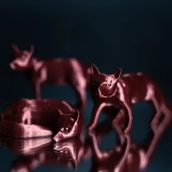 Fox Bundel