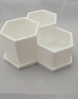 Mini Hex Planter, Succulent Planter