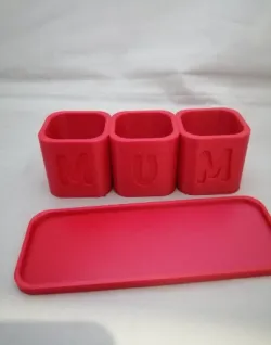 Mini Planters and tray Mum, Planter