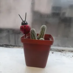 Mini pot plant for seedlings plants flowers