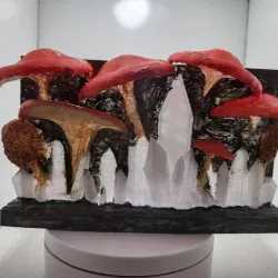 nintendo switch dock mushroom crystal wall mount
