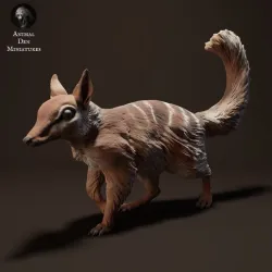 Numbat