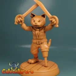 Pirate Cat