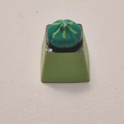POKÉMON BULBASAUR KEYCAP | KEYCAP FOR MECHANICAL CHERRY MX KEYBOARD