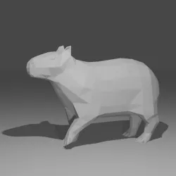 Polyva the Capybara