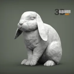 Rabbit ram 3D print model