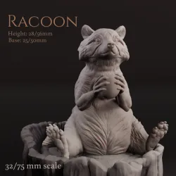 Racoon
