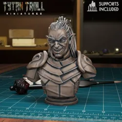 Rahadin Dusk Elf Bust [Pre-Supported]