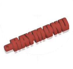 RAYMOND KEYCHAIN