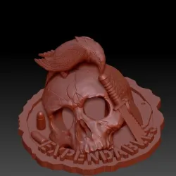 Skull on Expendables