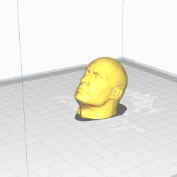 The rock head