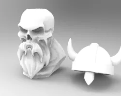 Viking skull