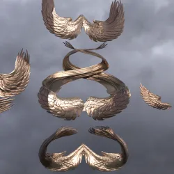 Wind Elements Wings Collection