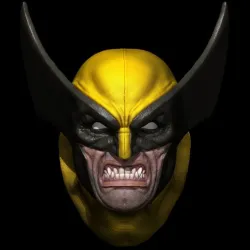 Wolverine 1/4 Magnet Head