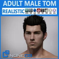Adult Male Tom 3D model