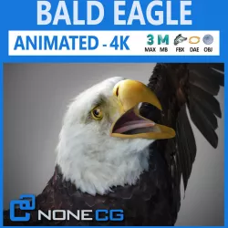 Animated Bald Eagle 3D model