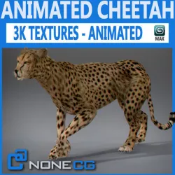 Animated Cheetah 3D model