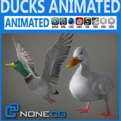 Animated Ducks 3D model