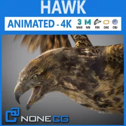 Animated Hawk 3D model