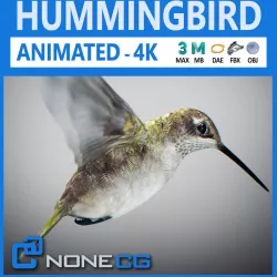 Animated Hummingbird 3D model