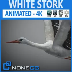 Animated Stork 3D model