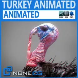 Animated Turkey 3D model