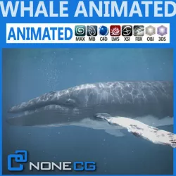 Animated Whale 3D model