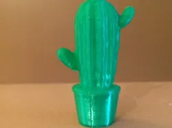 Another Scanned Cactus