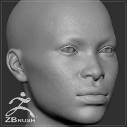 Average Black Female Head Basemesh 3D model