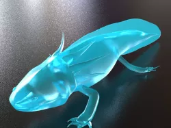 Axolotl, Ajolote, Ambystoma mexicanum