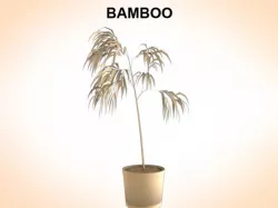 Bamboo 3D model