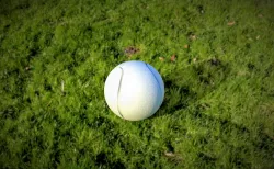 Base Ball