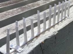 Bird Spikes for flat surfaces